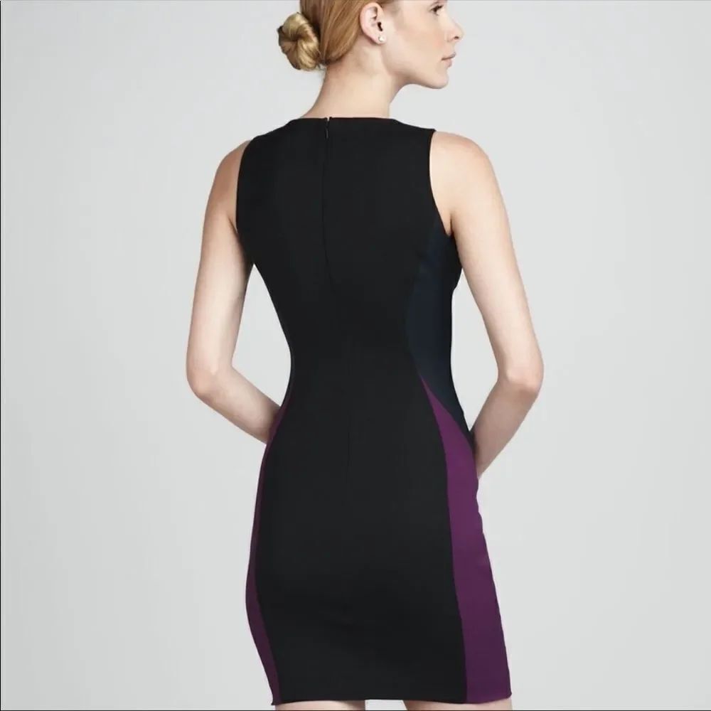 ✨ Contouring Colorblock Mini Dress✨ - Picture 2 of 6